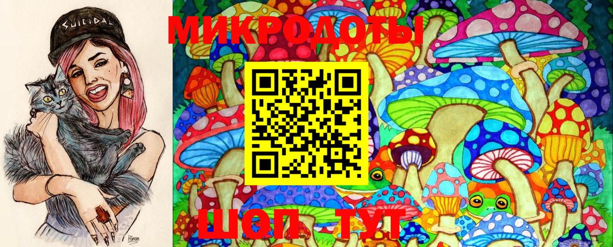 Псилоцибиновые грибы MAGIC MUSHROOMS Канаш